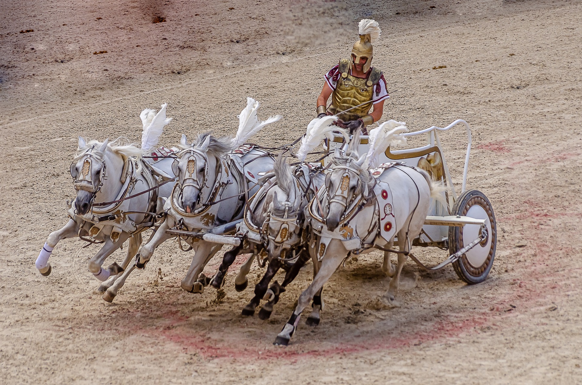 A chariot racing