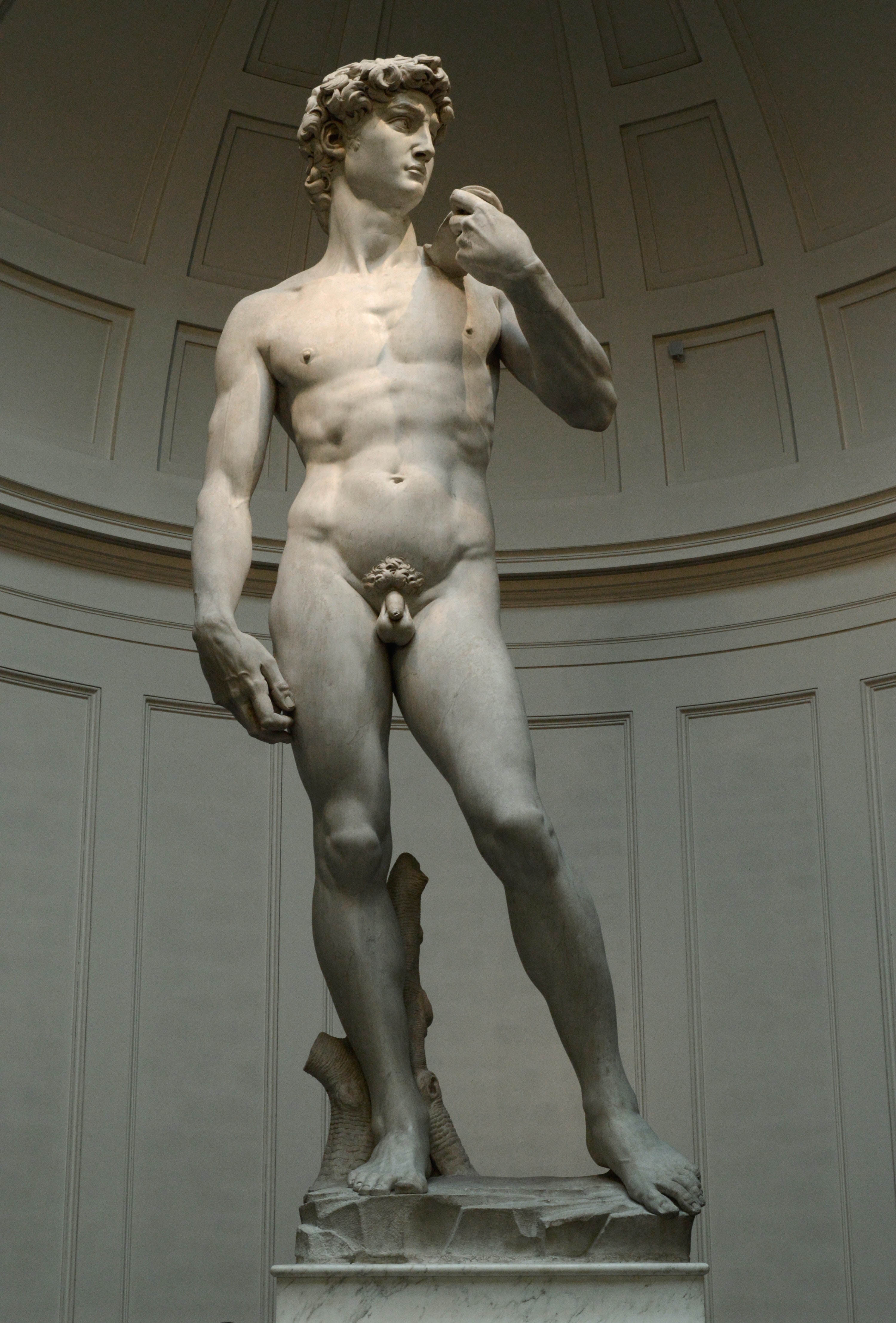 The statue of David